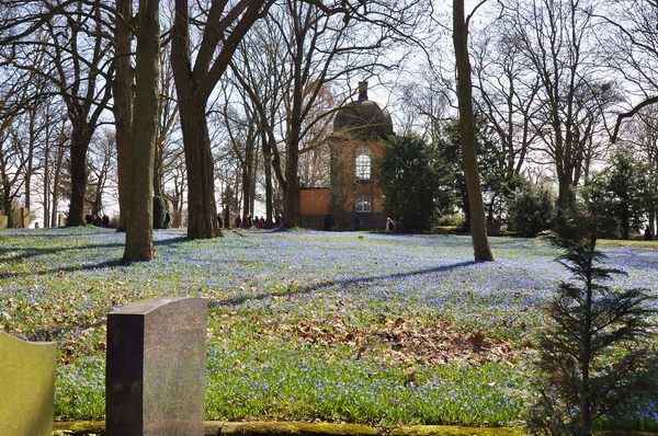 Scilla   047.jpg